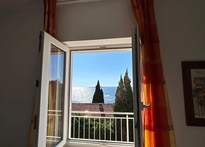 Apartman Mira Mlini